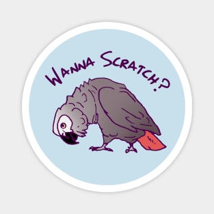 African Grey PArrot Wanna Scratch Magnet